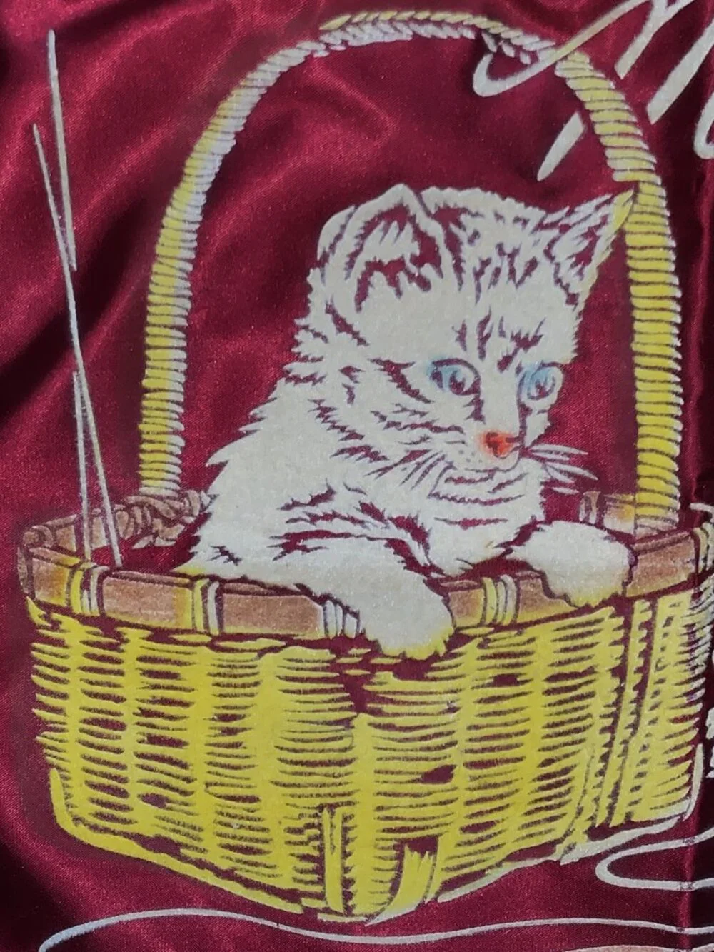 Vintage Hope BC Souvenir Pillow Cover 16
